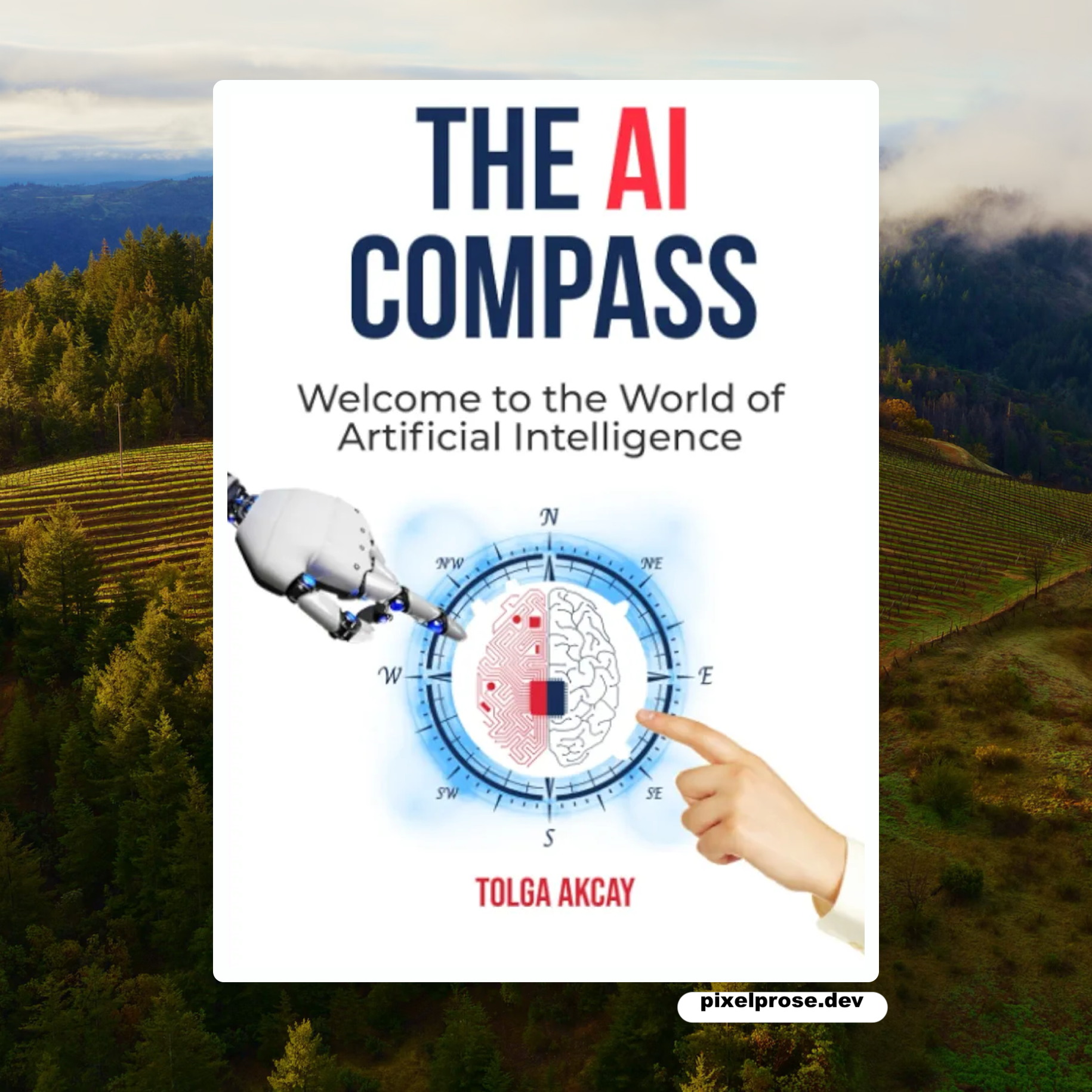 THE AI COMPASS: Welcome to the World of Artificial Intelligence
